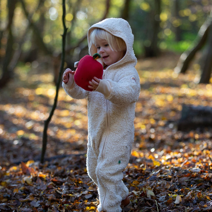 Cosy Organic Sherpa Fleece Hooded Snug As A Bug Suit