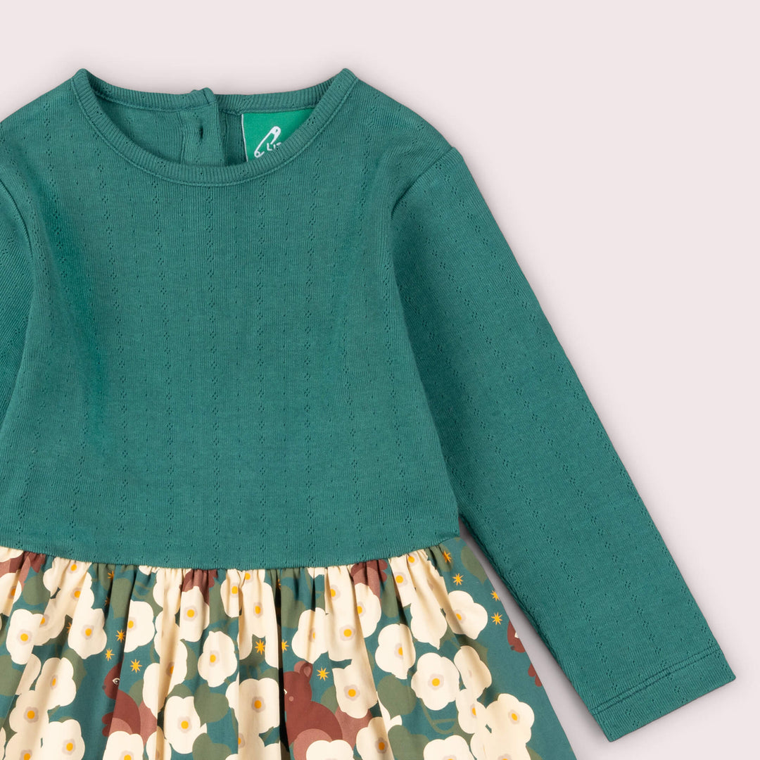 Hedgerow Long Sleeve Twirler Dress