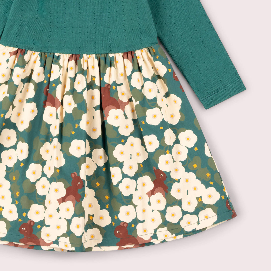 Hedgerow Long Sleeve Twirler Dress