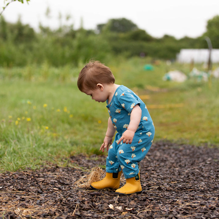 All Weather Organic Summer Romper Blue / 18-24m