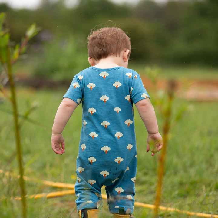 All Weather Organic Summer Romper Blue / 18-24m