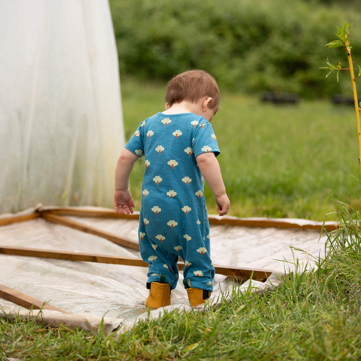 All Weather Organic Summer Romper Blue / 18-24m