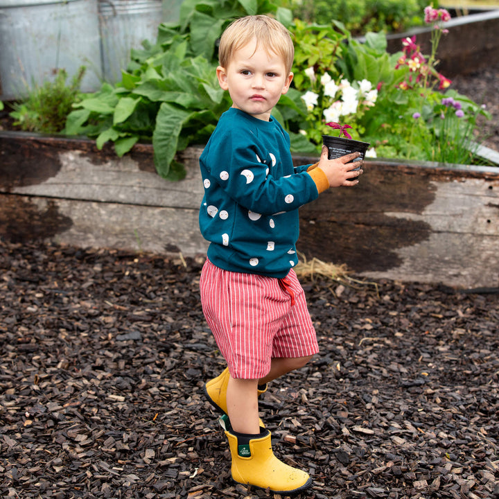 Burnt Ochre Striped By The Sea Twill Shorts Red / 18-24m