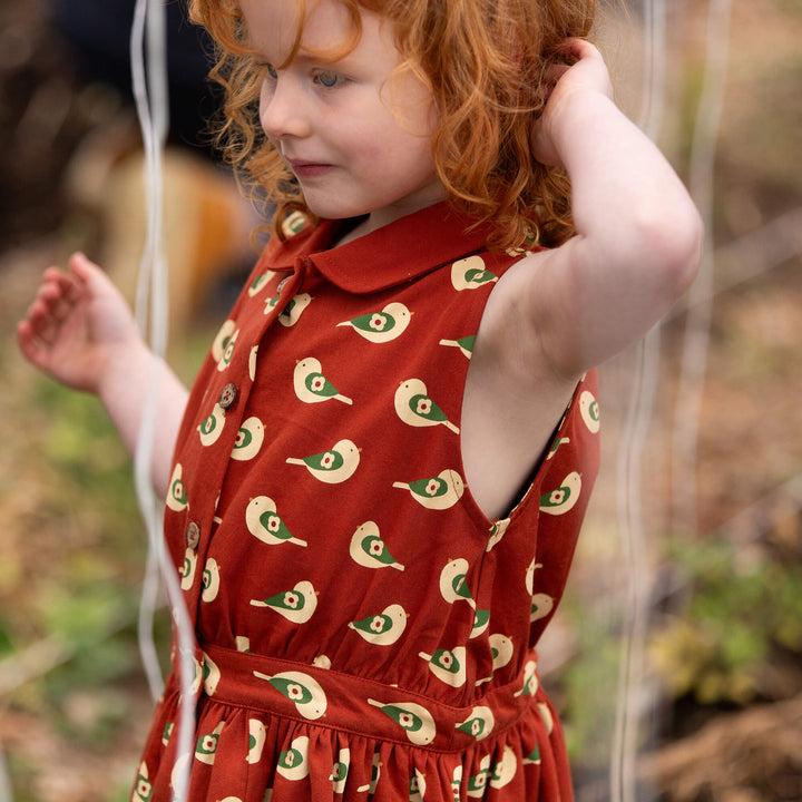 Spring Birds Pinafore Button Dress Red / 18-24m