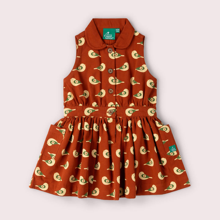 Spring Birds Pinafore Button Dress Red / 18-24m