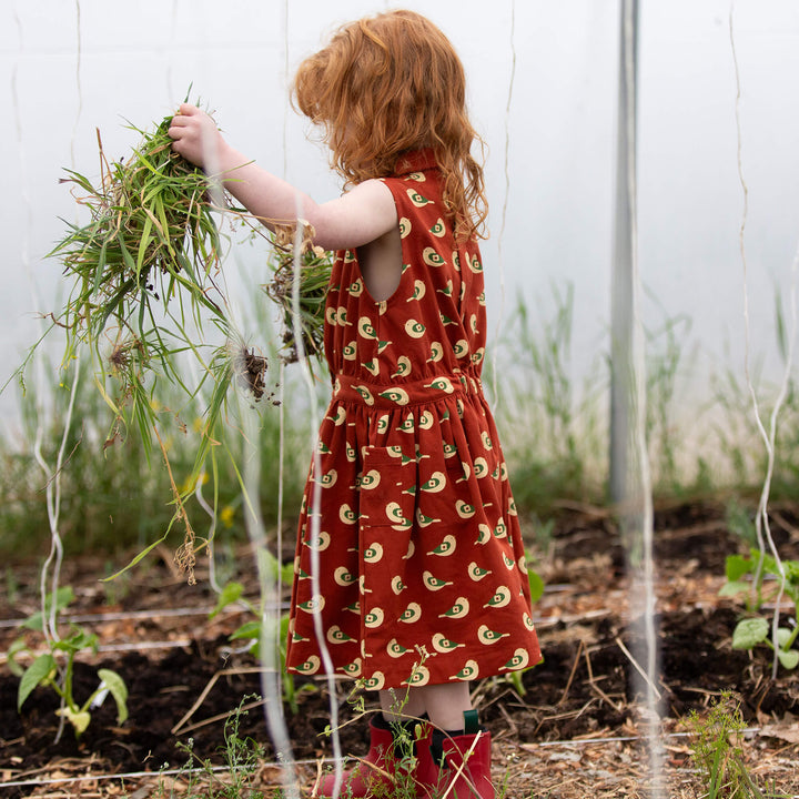 Spring Birds Pinafore Button Dress Red / 18-24m