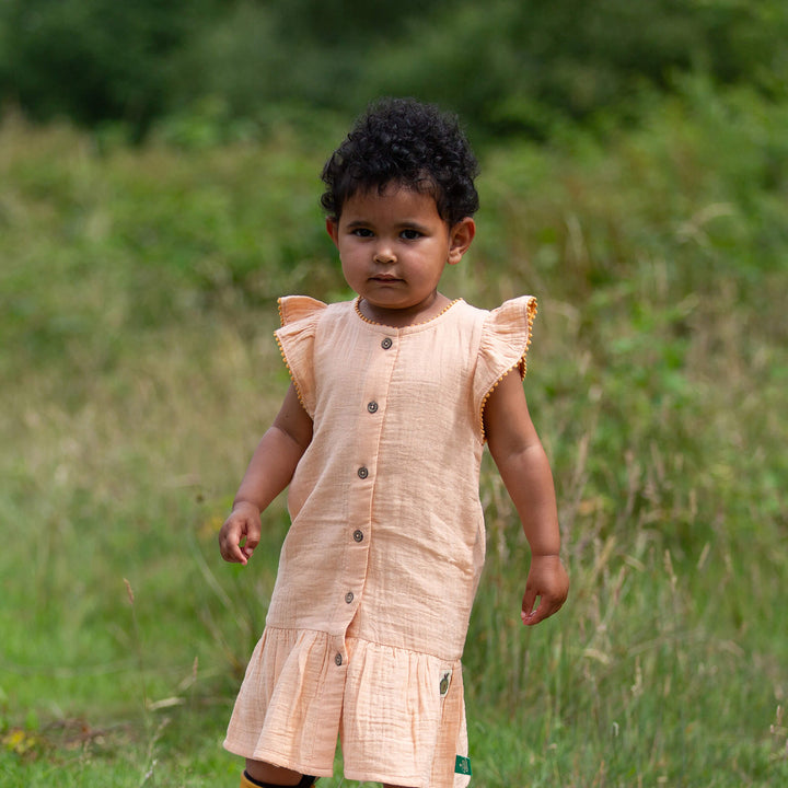 Coral Pink Dropped Waist Dress Pink / 18-24m