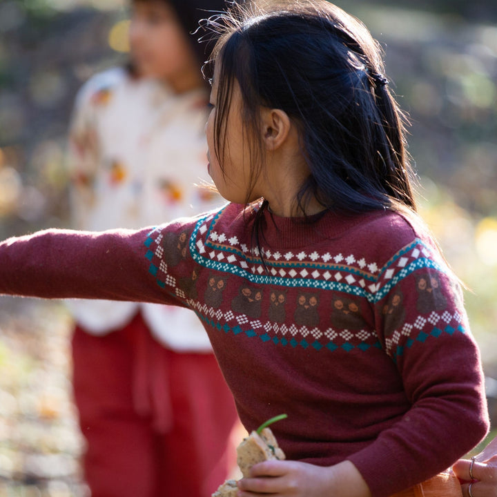 From One To Another Owl Fair Isle Knitted Jumper