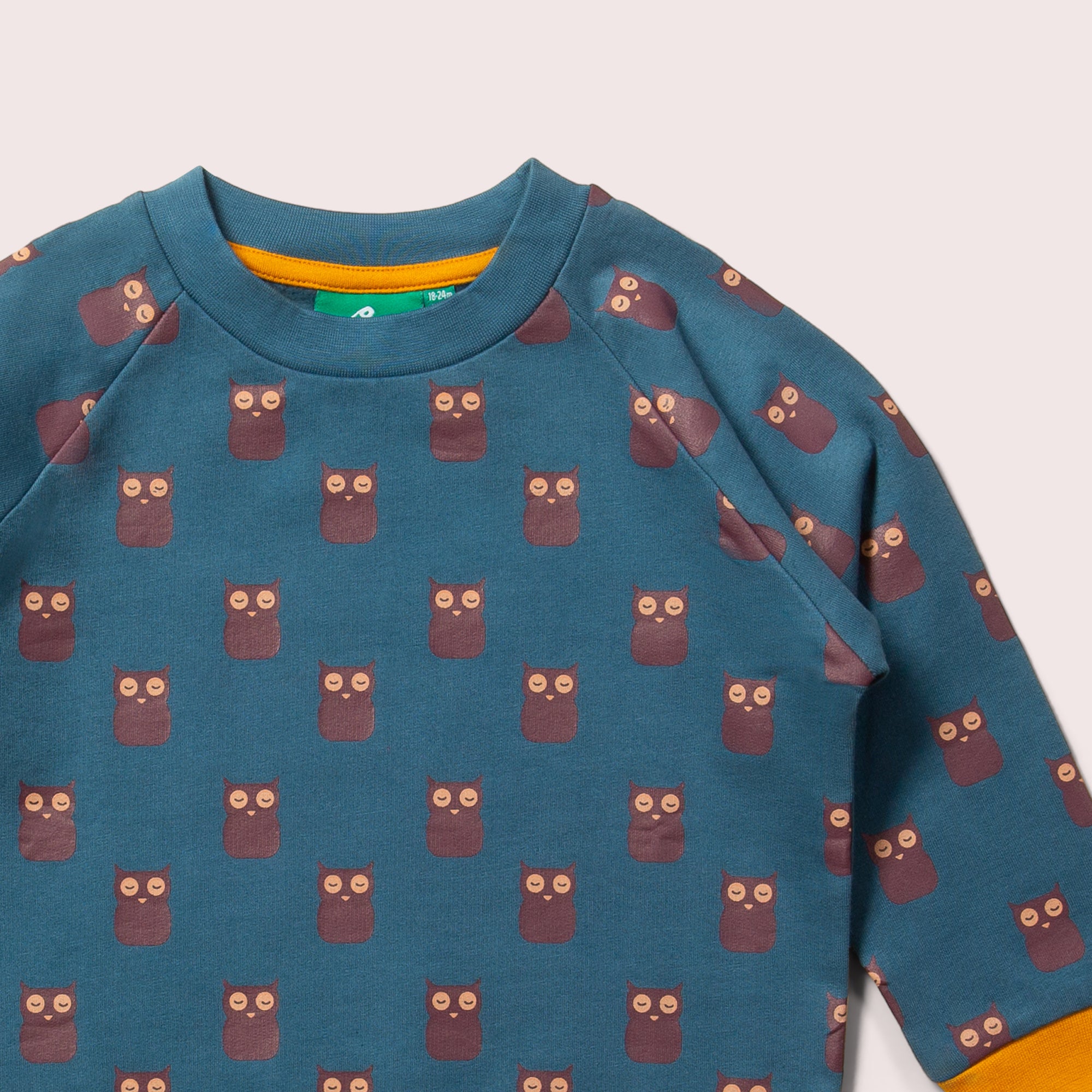 Twit Twoo Raglan Sweatshirt