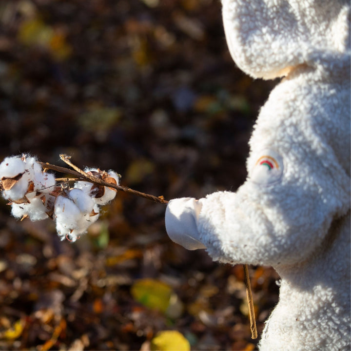 Cosy Organic Sherpa Fleece Hooded Snug As A Bug Suit