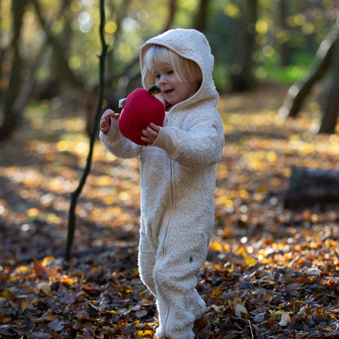 Cosy Organic Sherpa Fleece Hooded Snug As A Bug Suit