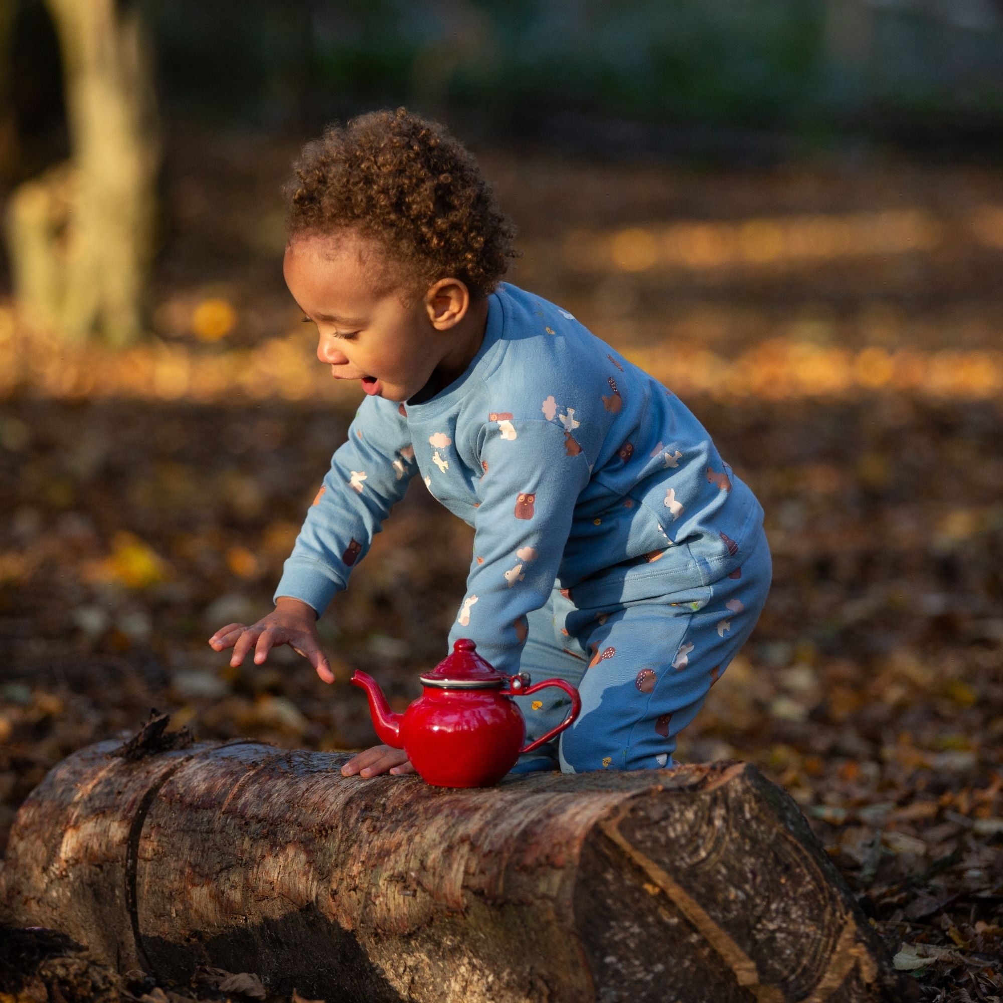 Woodland Folk Organic Pyjamas NOT AVAILABLE for USA/AUS/CAN