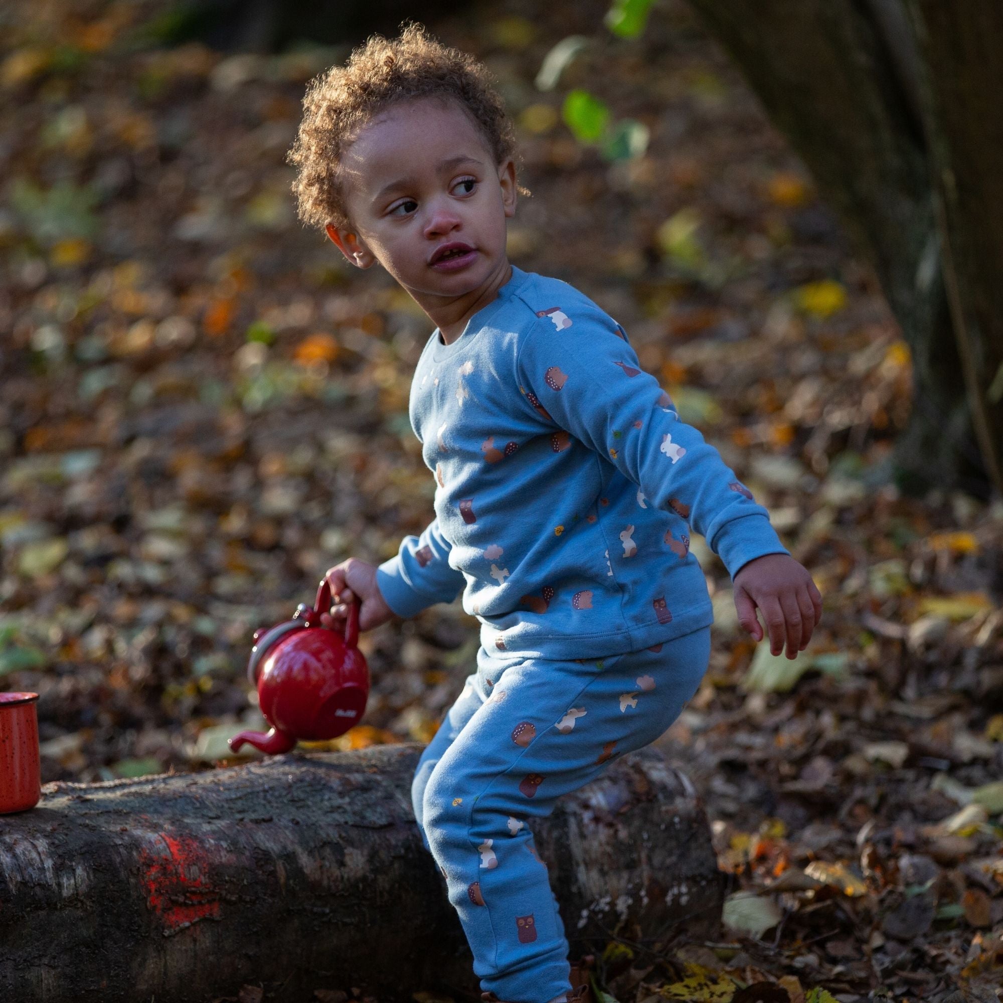 Woodland Folk Organic Pyjamas NOT AVAILABLE for USA/AUS/CAN