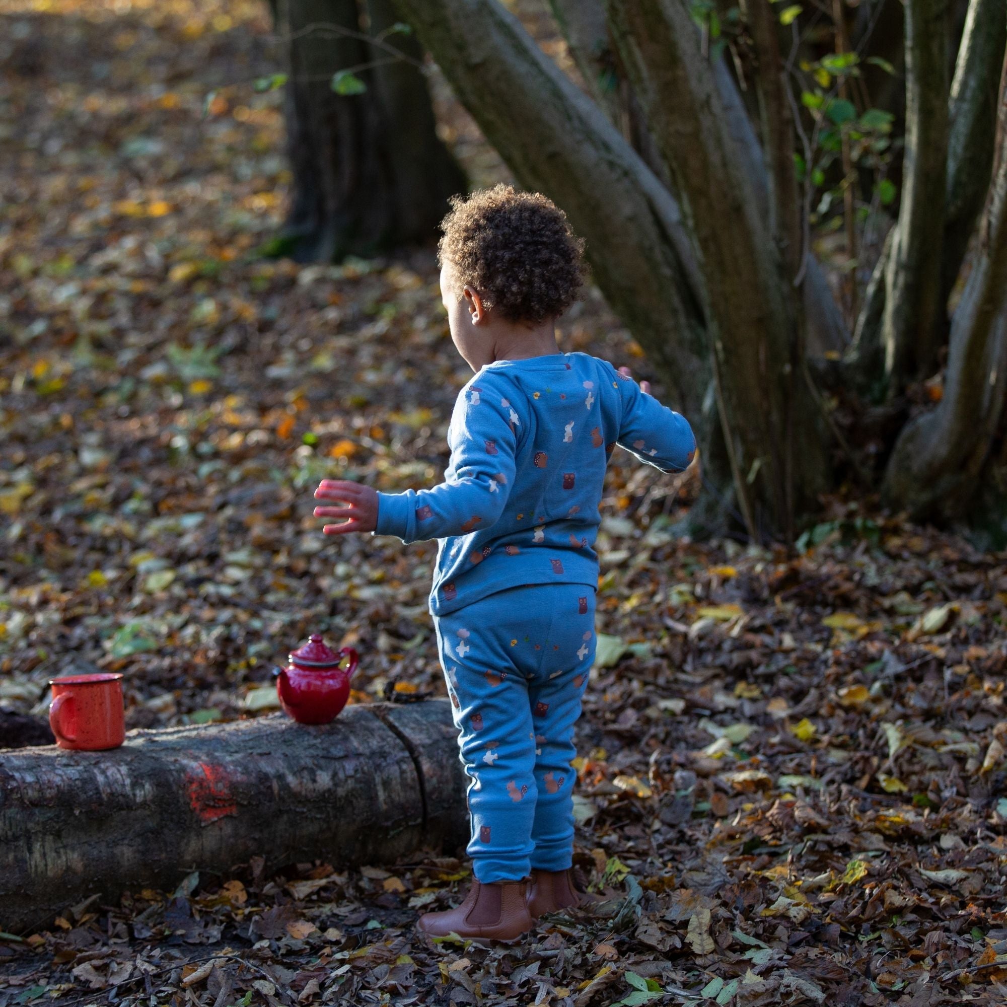 Woodland Folk Organic Pyjamas NOT AVAILABLE for USA/AUS/CAN