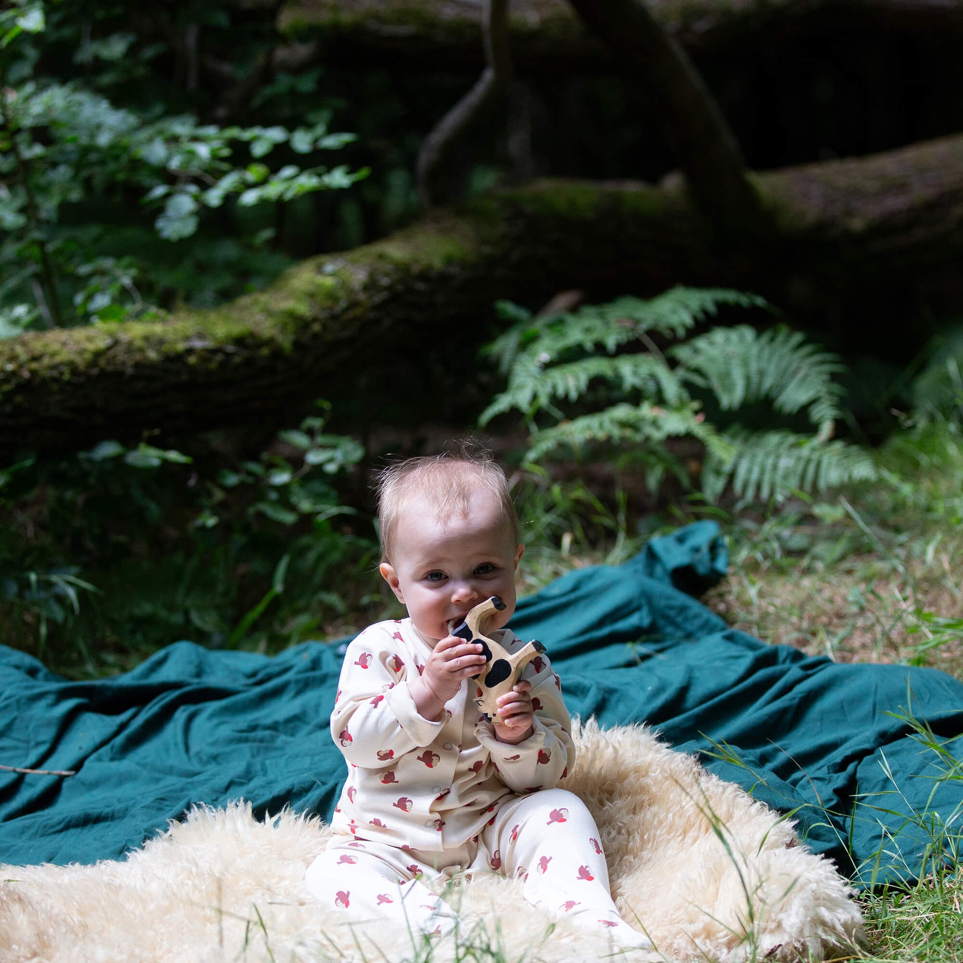 Little Robin Organic Babygrow Cream / 12-18m