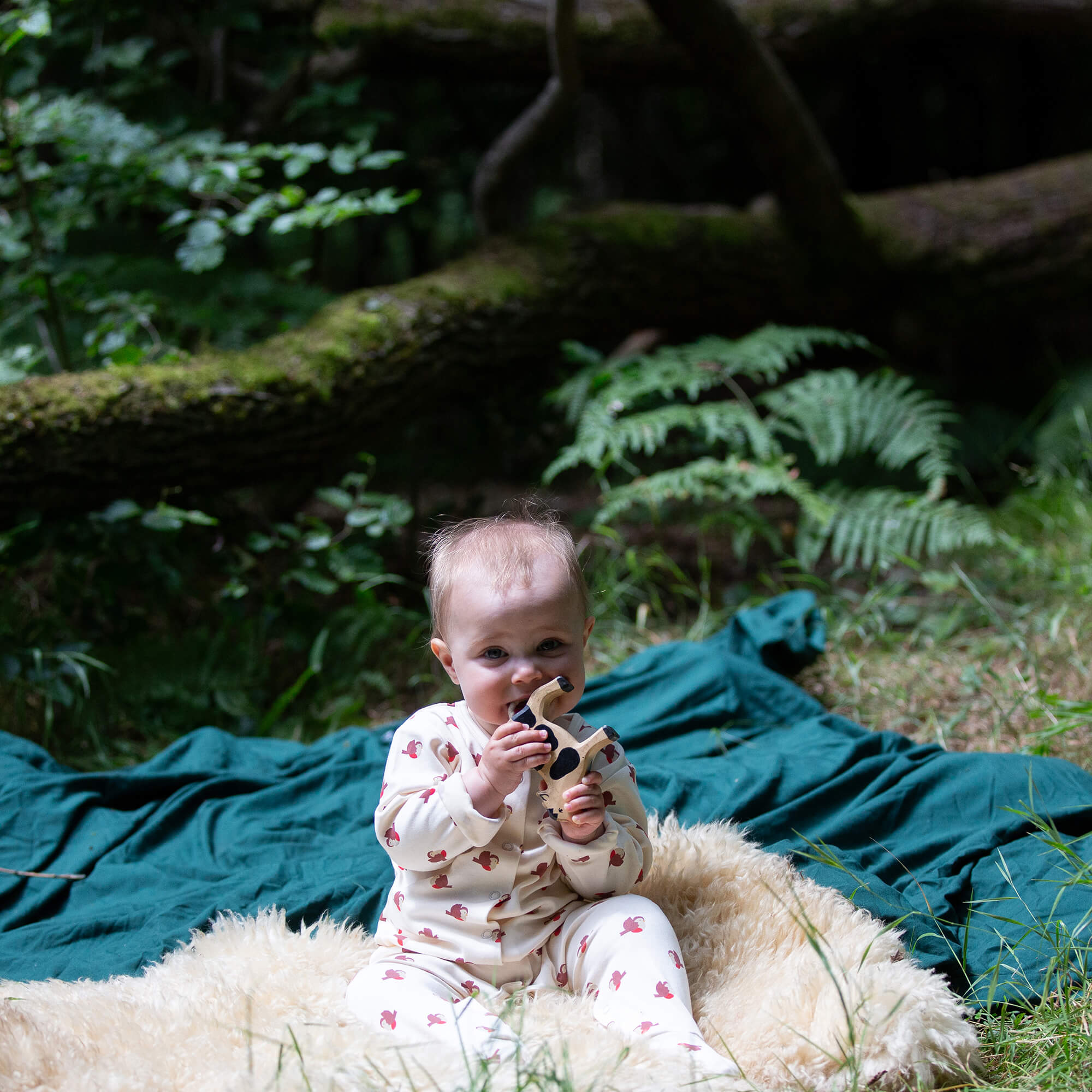 Little Robin Organic Babygrow Cream / 12-18m