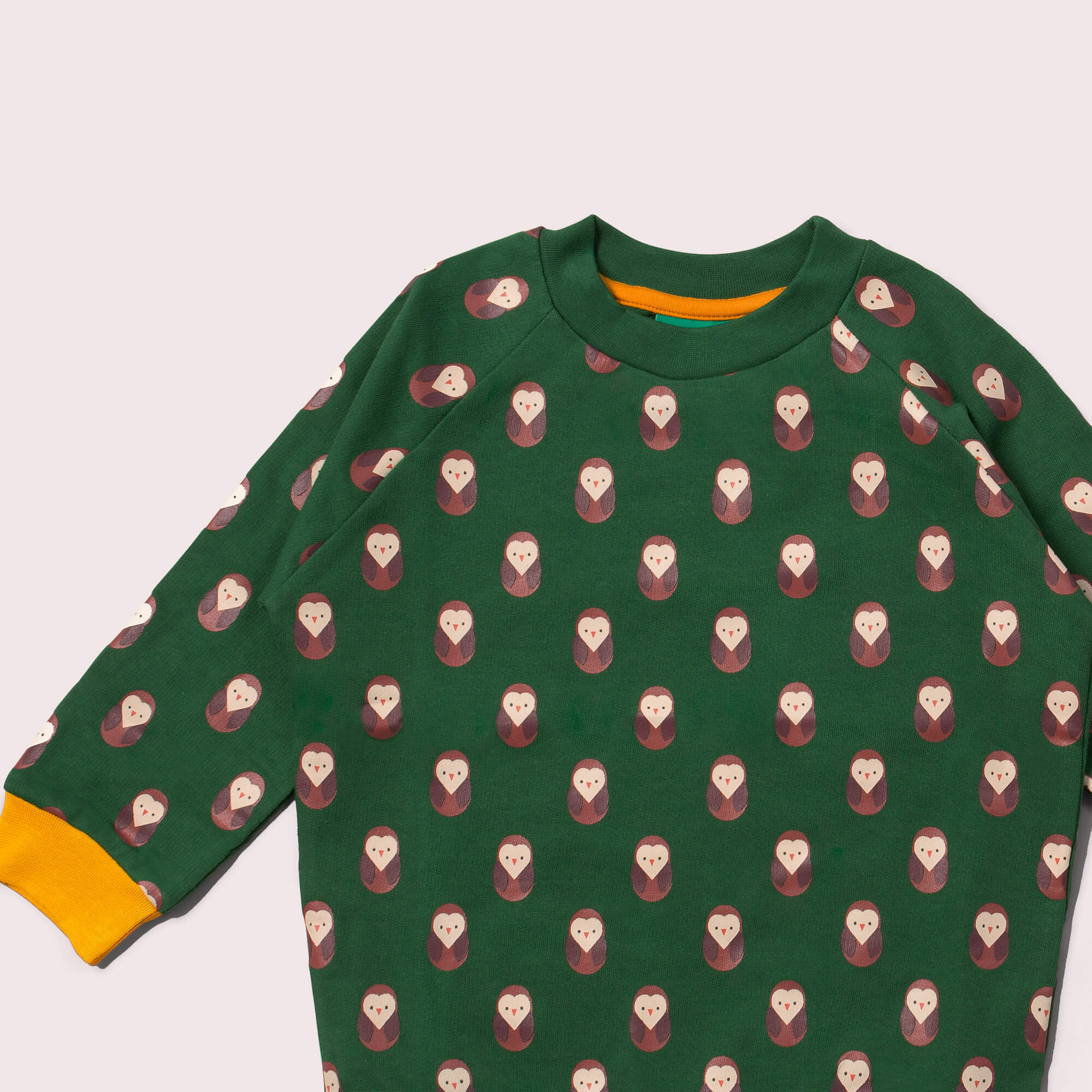Brown Owl Raglan Sweatshirt