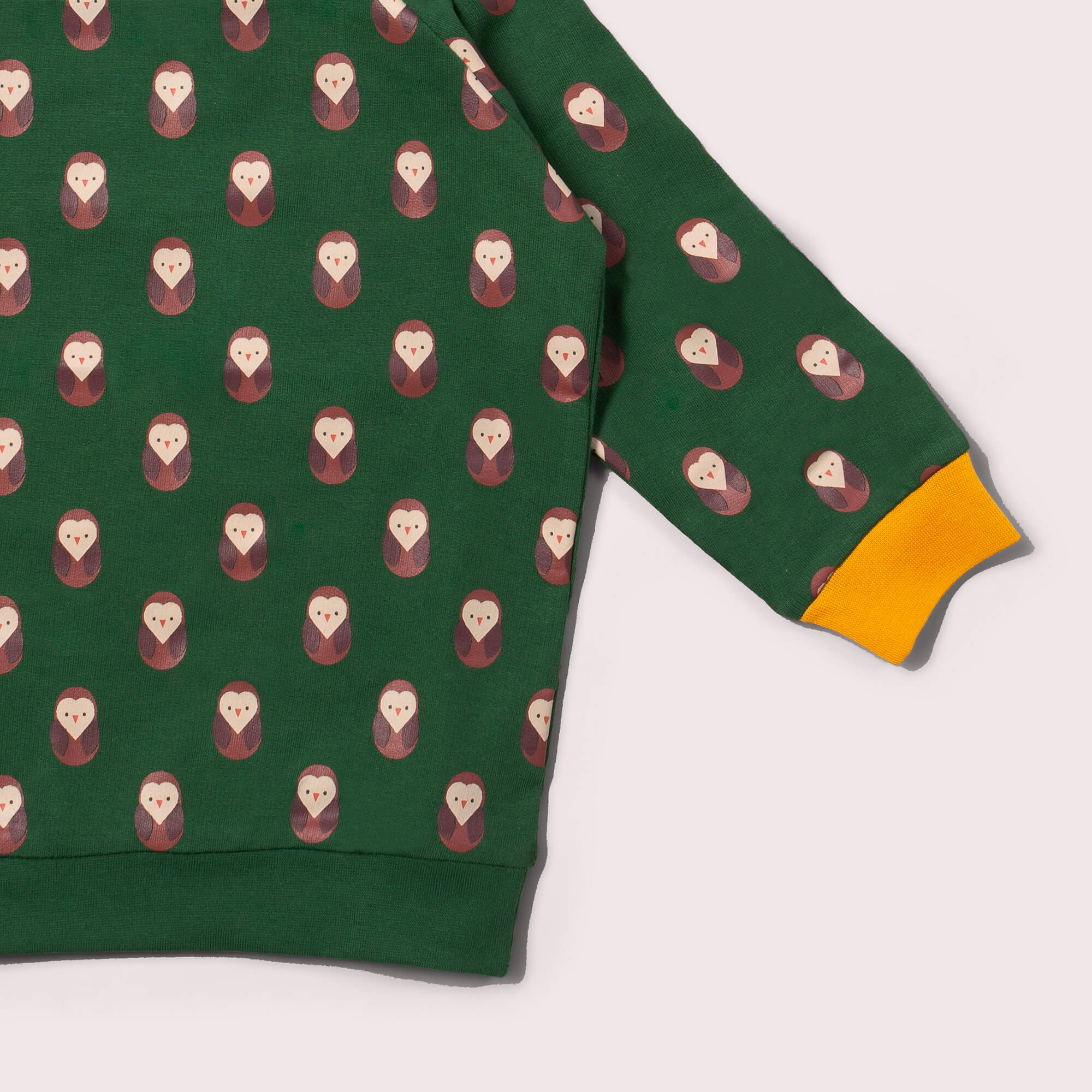 Brown Owl Raglan Sweatshirt