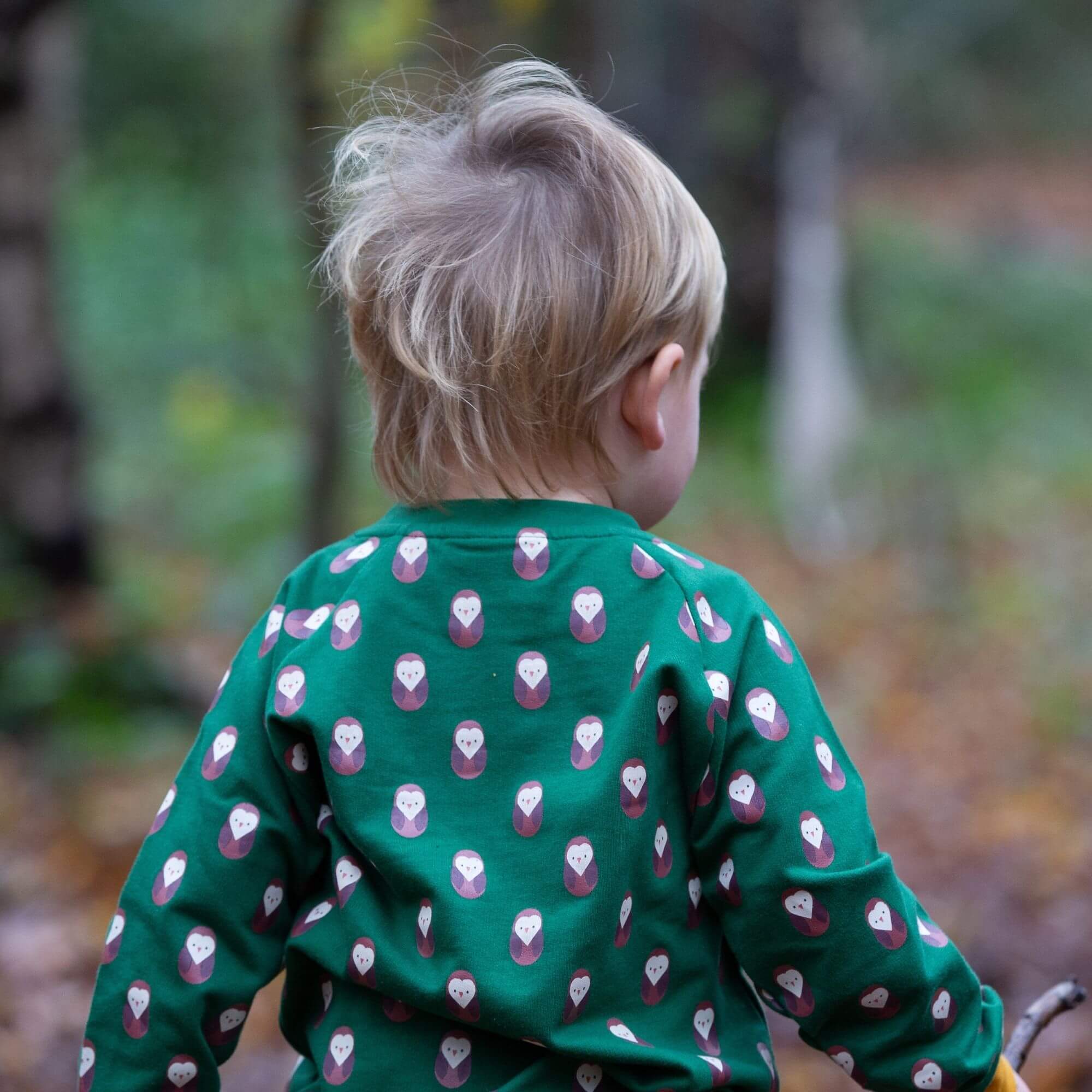 Brown Owl Raglan Sweatshirt