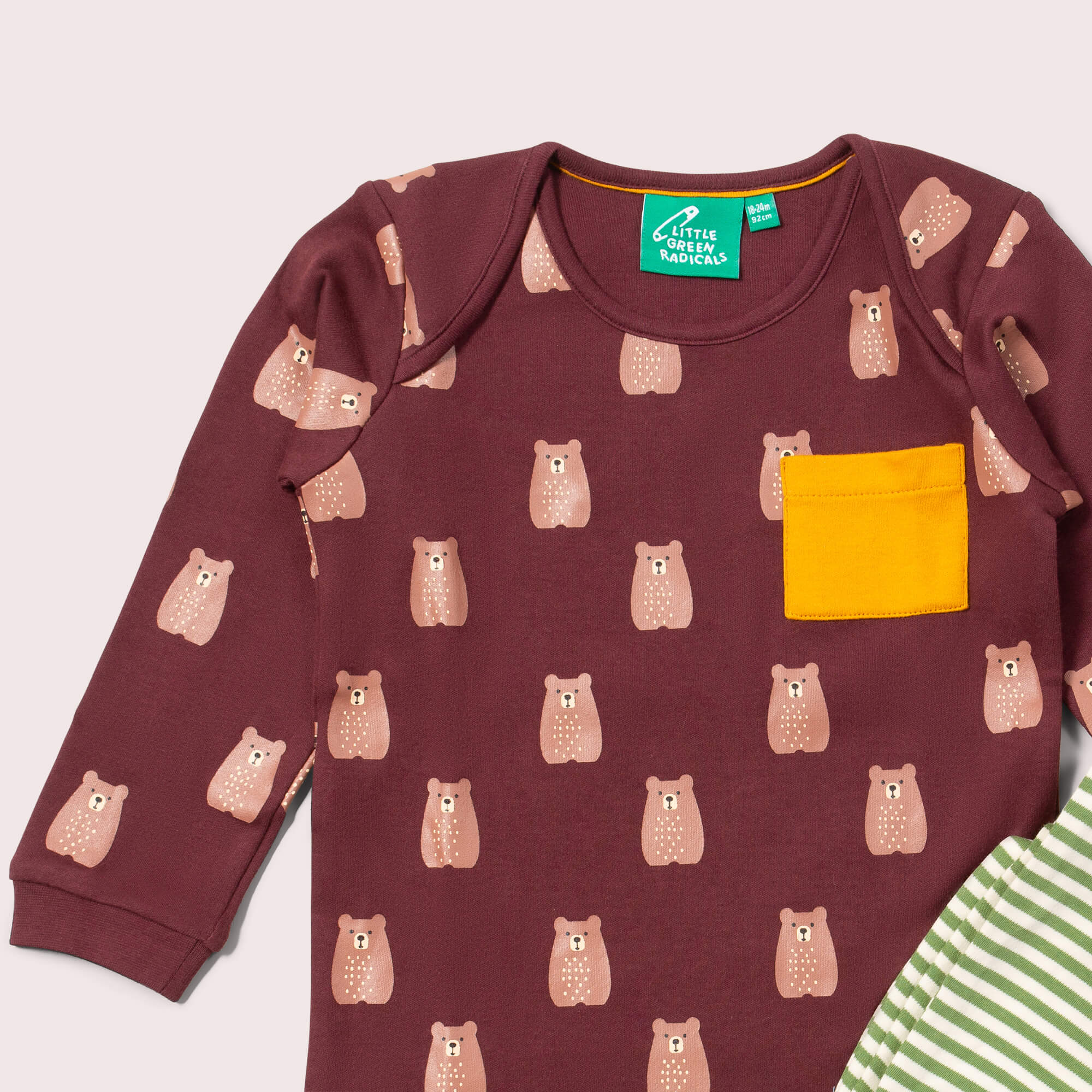 Brown Bears Organic T-Shirt & Jogger Playset