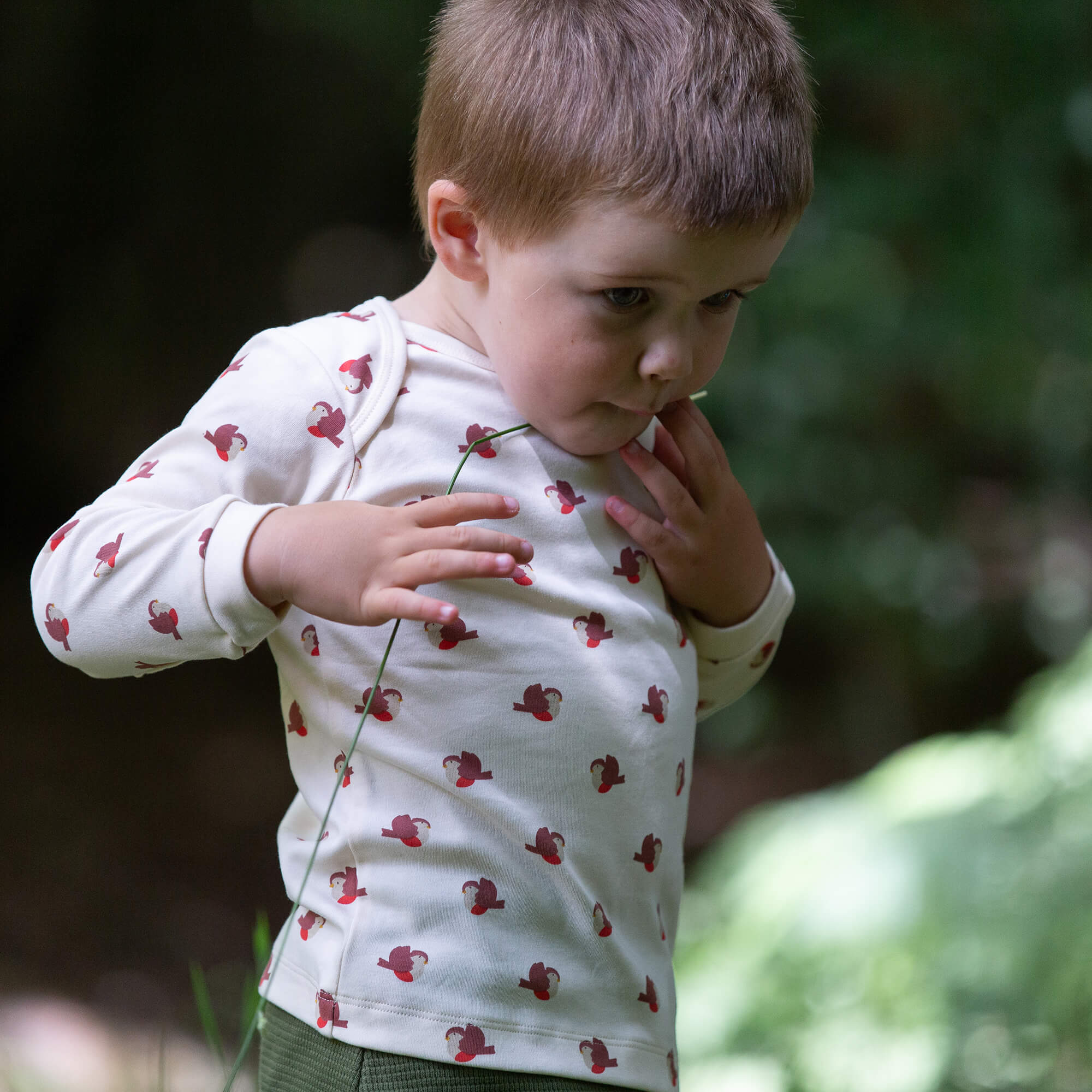 Little Robin Organic T-Shirt And Jogger Playset Cream / 4-5y