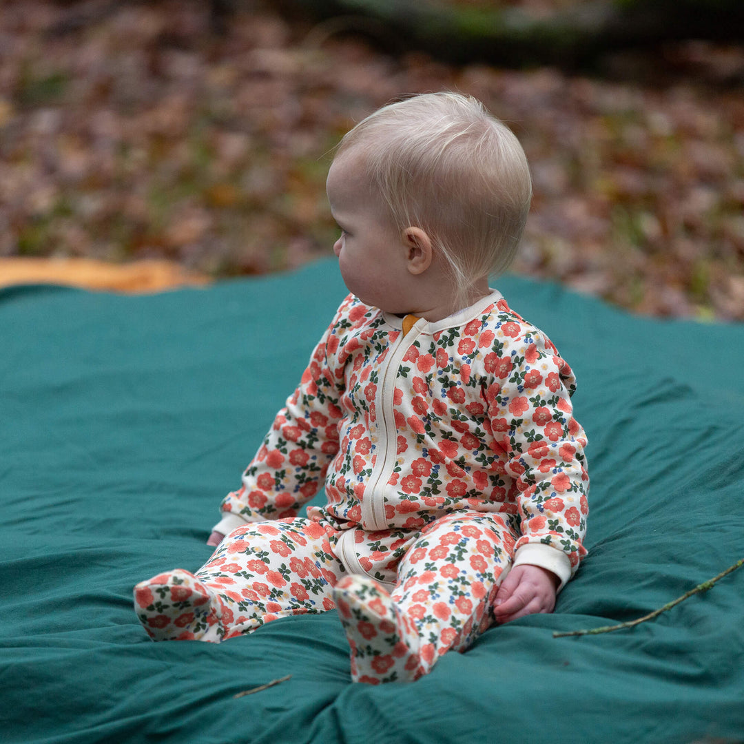 Petals Zip Organic Babygrow Multi / 12-18m