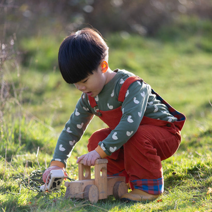 Burnt Ochre Lined Corduroy Dungarees Red / 6-7y