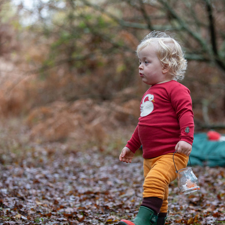 Sleeping Swan Applique Long Sleeve T-Shirt Red / 4-5y