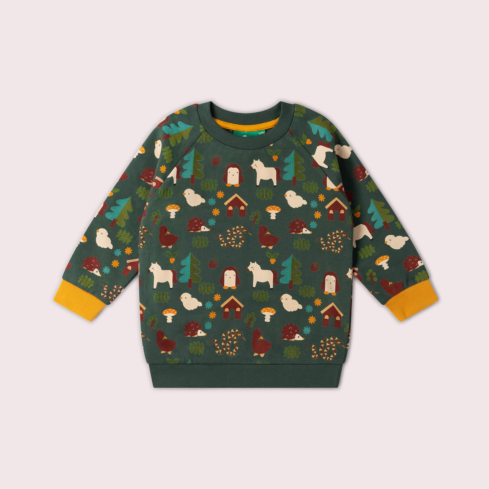 Woodland World Raglan Sweatshirt Green / 7-8y