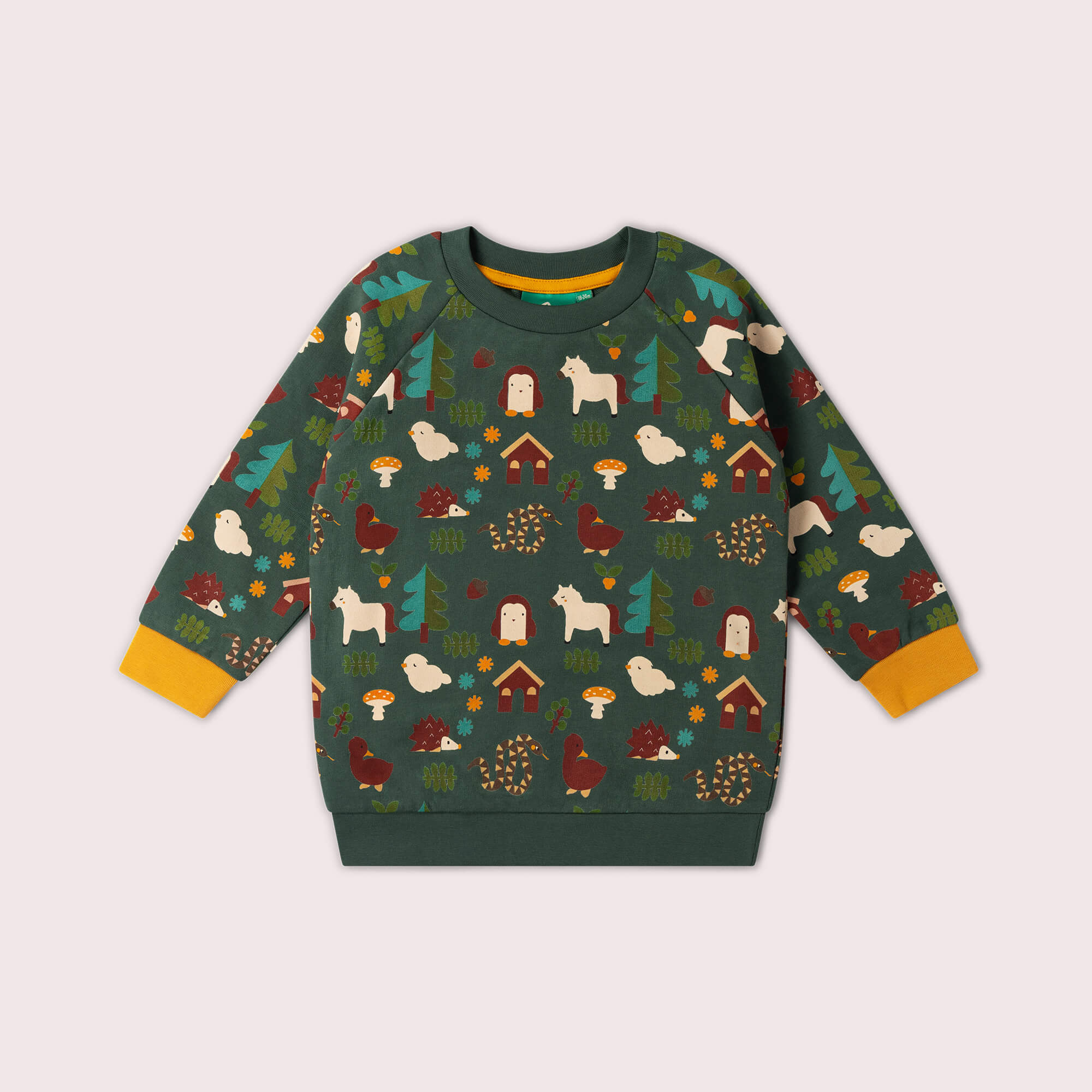 Woodland World Raglan Sweatshirt Green / 7-8y