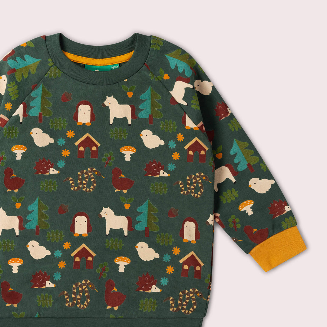 Woodland World Raglan Sweatshirt Green / 7-8y