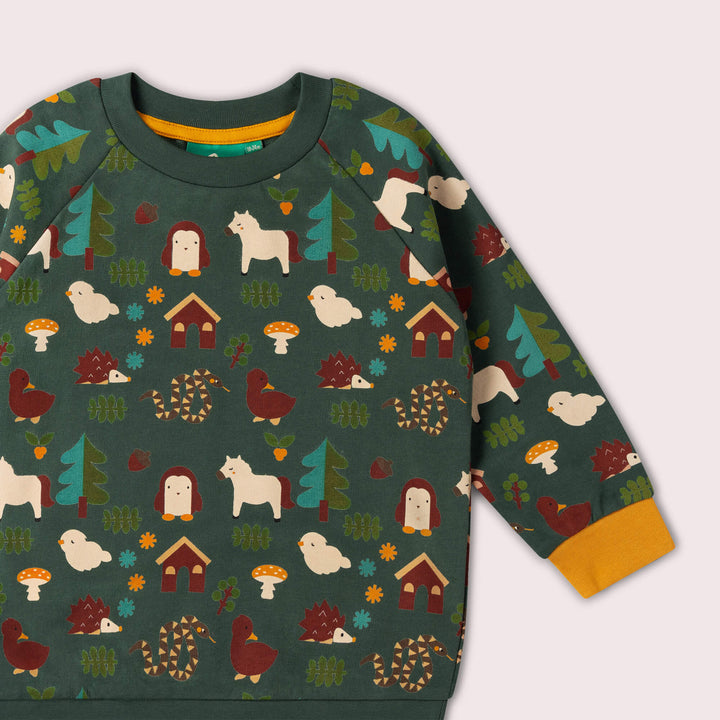 Woodland World Raglan Sweatshirt Green / 7-8y