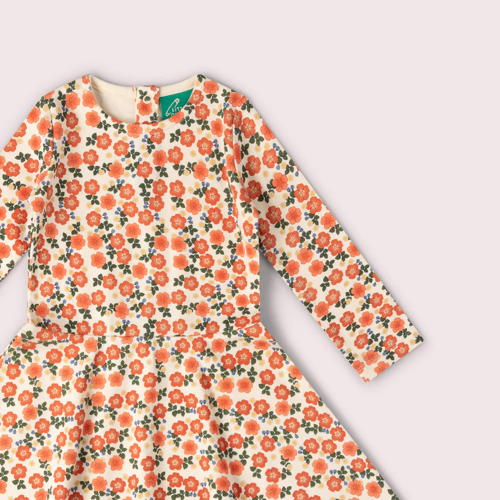 Petals Long Sleeve Spinny Dress Multi / 5-6y