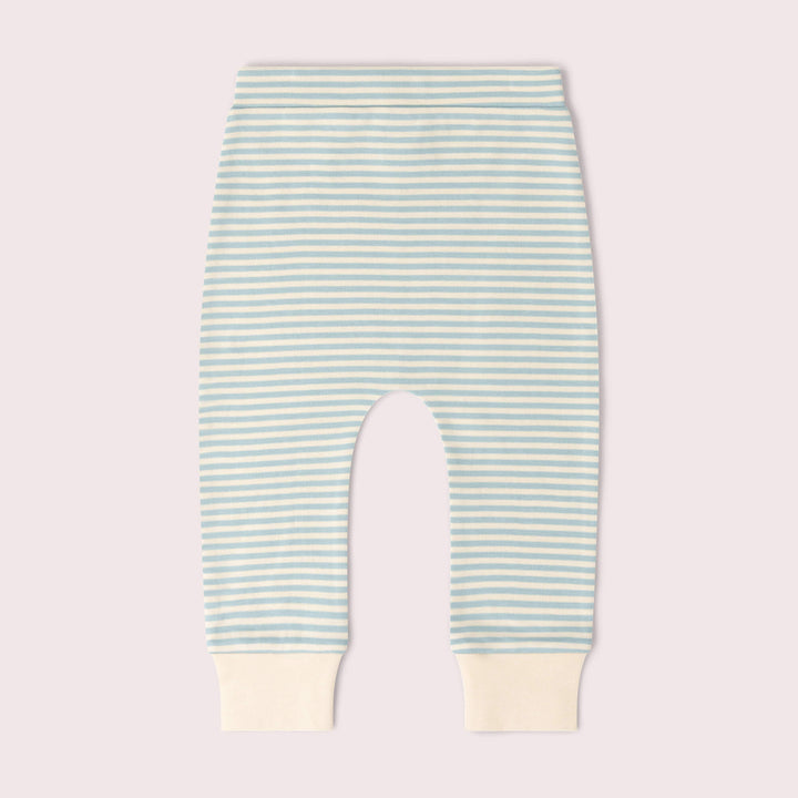 Blue Bears Organic T-Shirt & Jogger Playset Blue / 4-5y