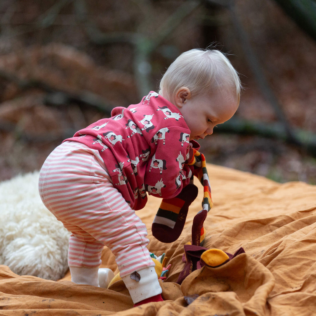 Little Unicorns Organic T-Shirt & Jogger Playset Purple / 4-5y