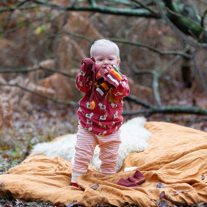 Little Unicorns Organic T-Shirt & Jogger Playset Purple / 4-5y