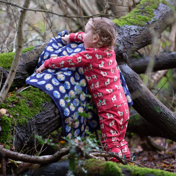 Sun Folk Sherpa Hooded Organic Baby Blanket Blue / One Size