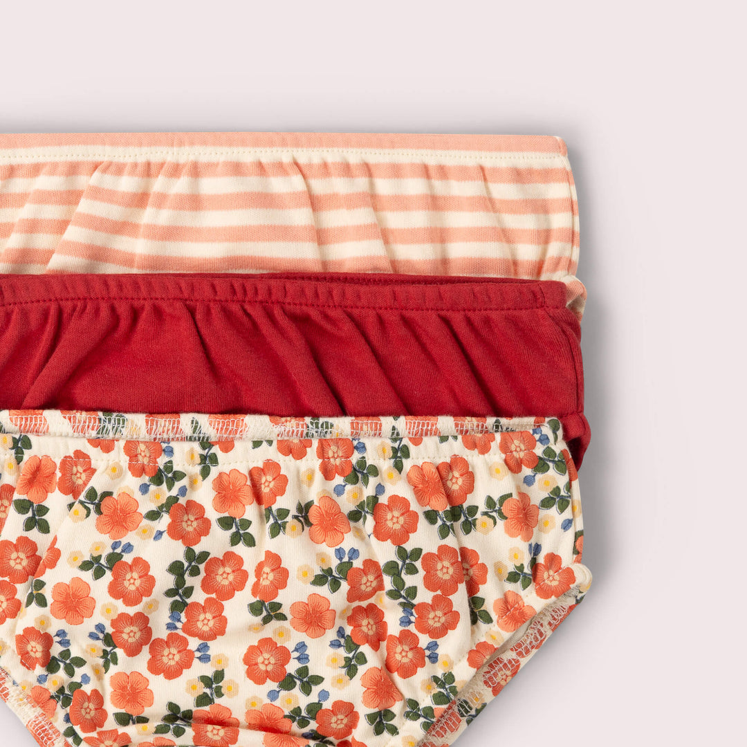 Petals Organic Underwear 3 Pack Multi / 7-8y