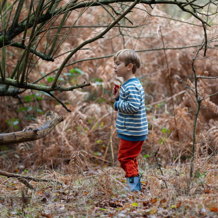 Blue Bears Reversible Easy Rider Jacket Blue / 7-8y