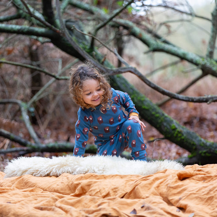 Blue Bears Organic Pyjamas NOT AVAILABLE USA/CAN/AUS Blue / 8-9y