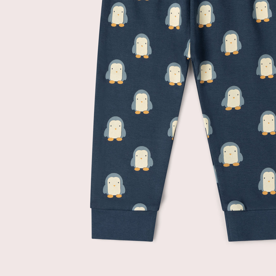 Blue Penguins Organic Pyjamas NOT AVAILABLE USA/CAN/AUS