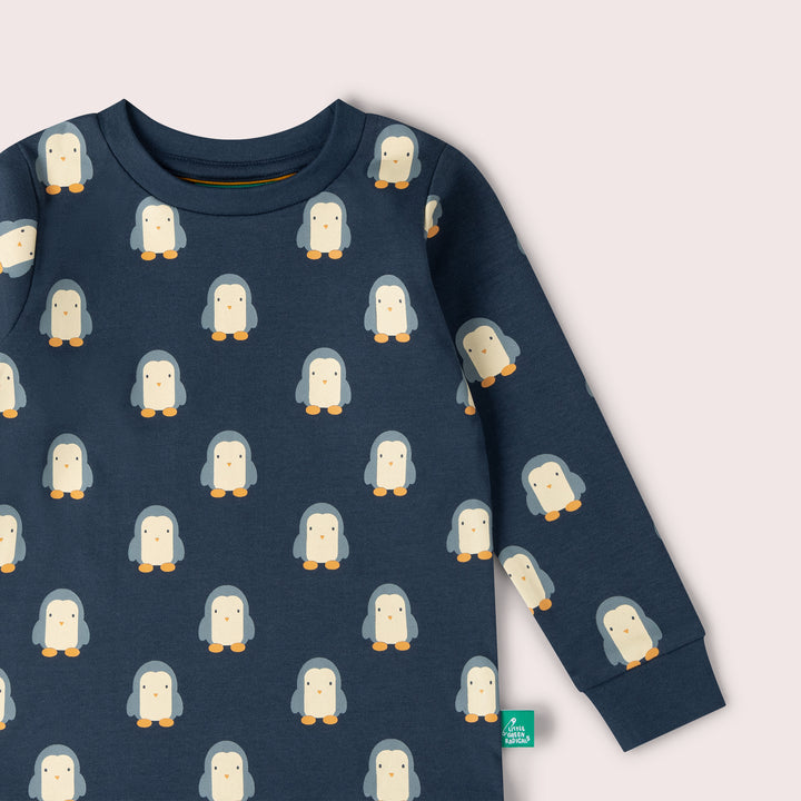 Blue Penguins Organic Pyjamas NOT AVAILABLE USA/CAN/AUS