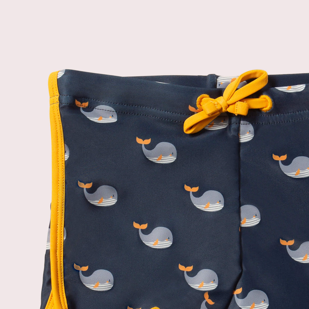 Whale Song UVP 50+ Recycled Swim Shorts