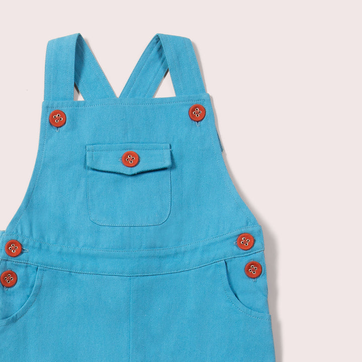 Blue Moon Pocket Dungaree Shorts