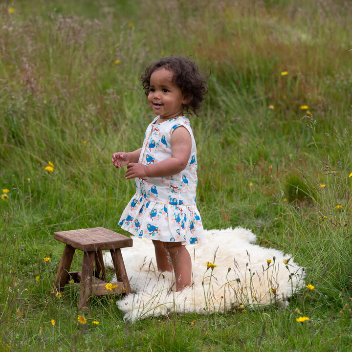 Bluebirds Button Ruffle Romper