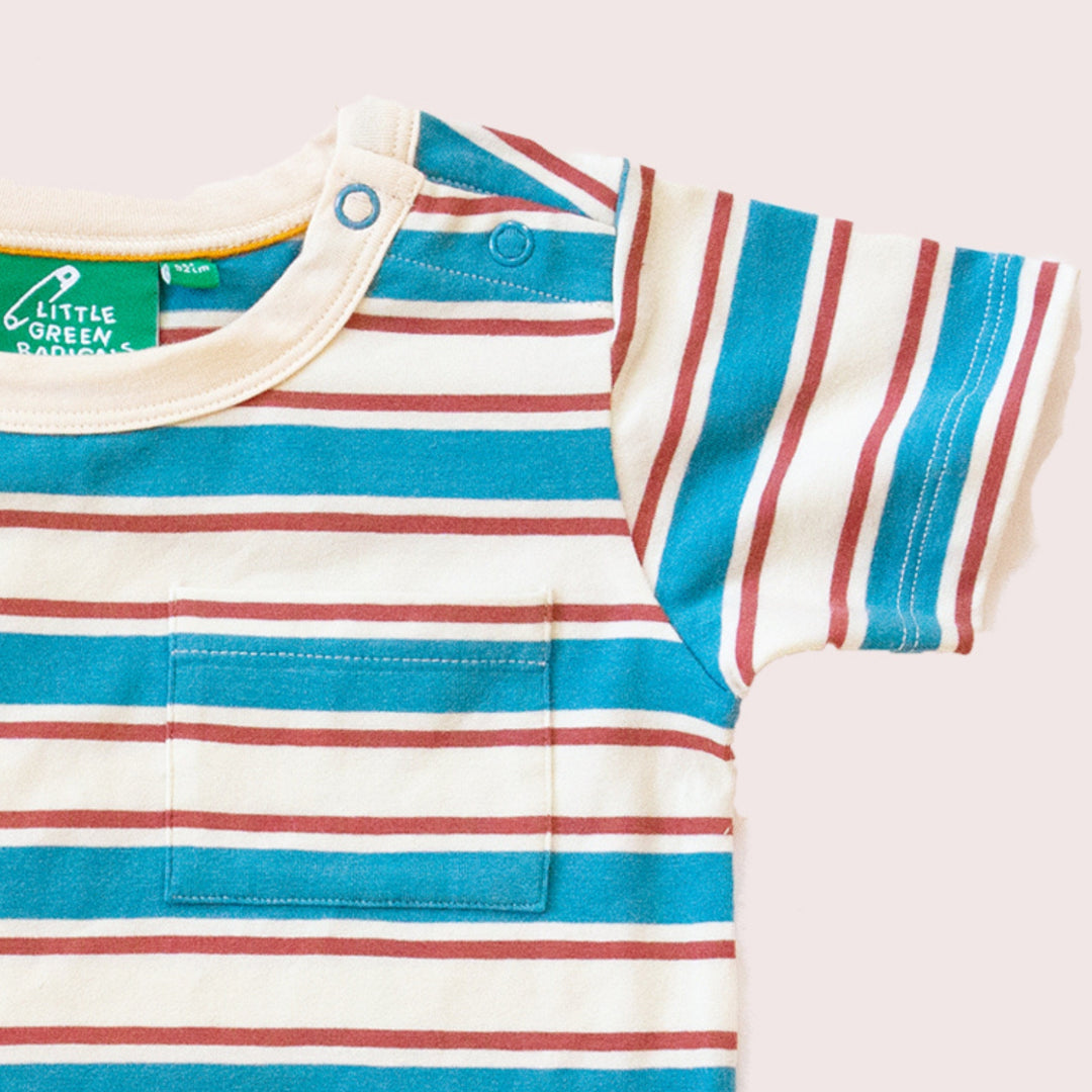 Blue & Walnut Striped Organic Short Sleeve T-Shirt