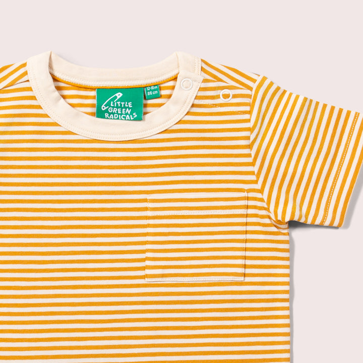 Soft Gold Striped Organic Short Sleeve T-Shirt