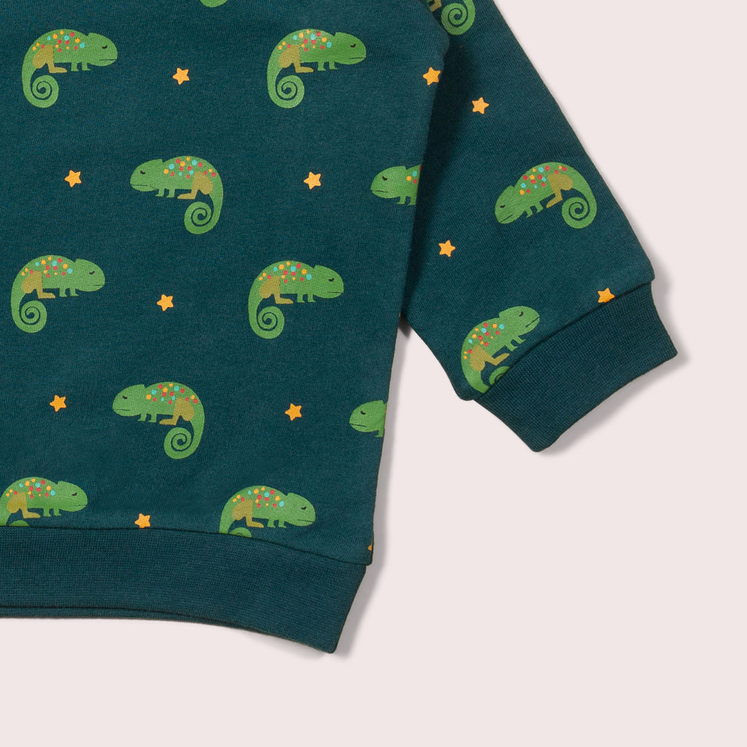 Little Lizard Marl Raglan Sweatshirt