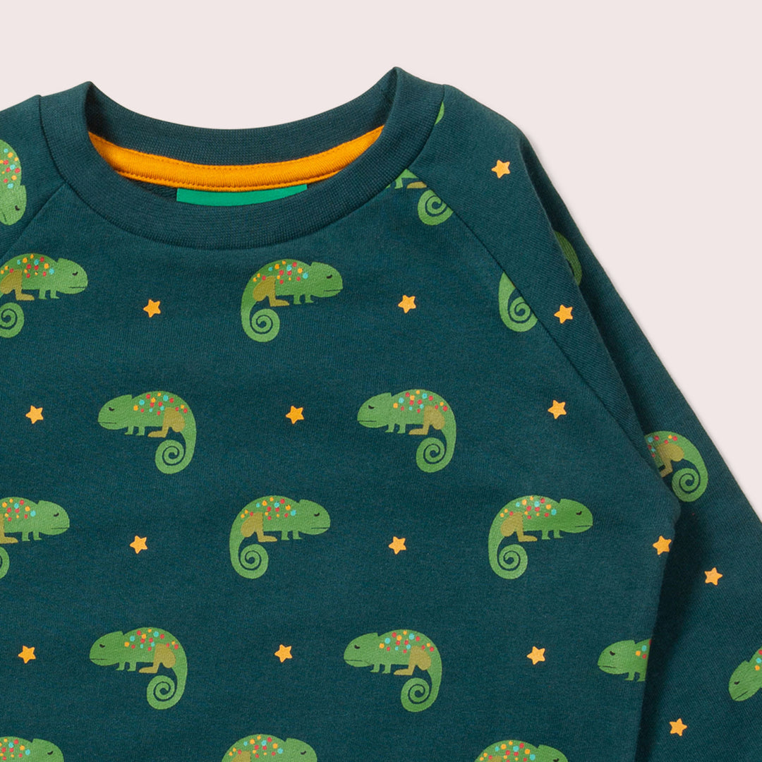 Little Lizard Marl Raglan Sweatshirt