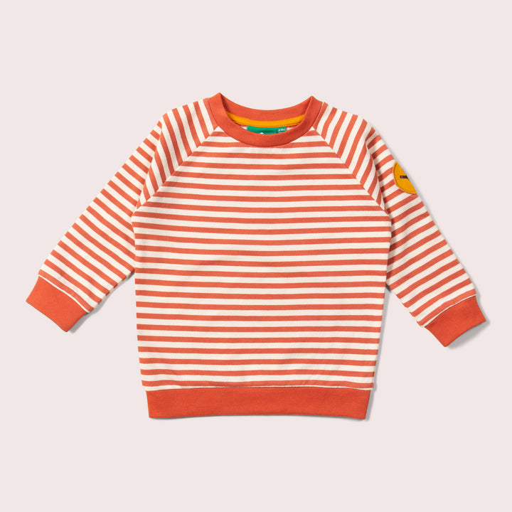 Walnut Striped Marl Raglan Sweatshirt